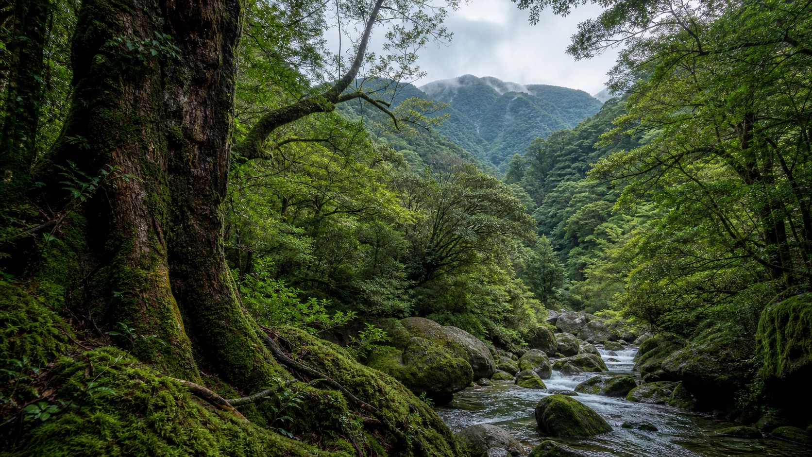 生成AIイメージ画像: 屋久島の森と水辺を巡る2泊3日モデルコース。屋久島の苔むした森、渓流、山並みを人物なしで森歩き旅の雰囲気として表した生成AIイメージ