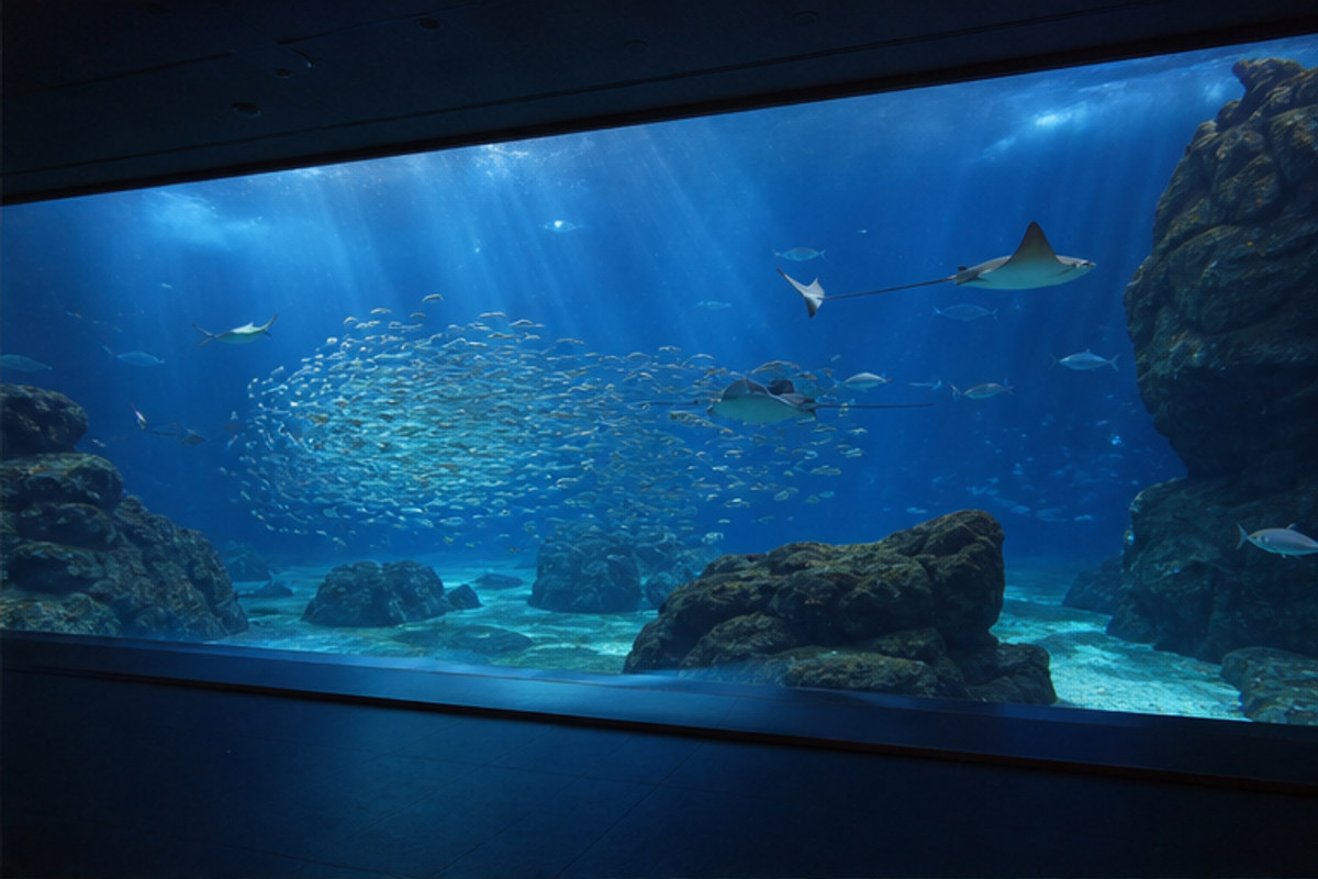 仙台うみの杜水族館の旅程検討を補う生成AIイメージ画像 1。実際の景観・施設外観ではありません。