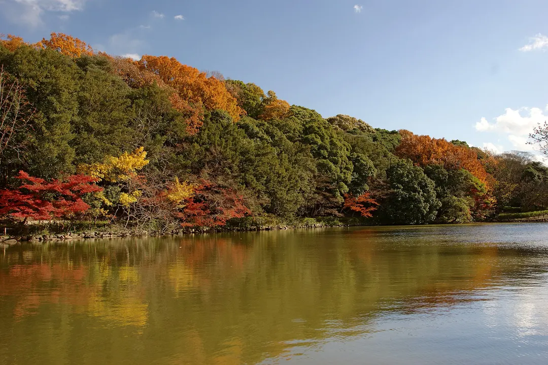 明石公園の実写写真。訪問前のイメージ確認用。