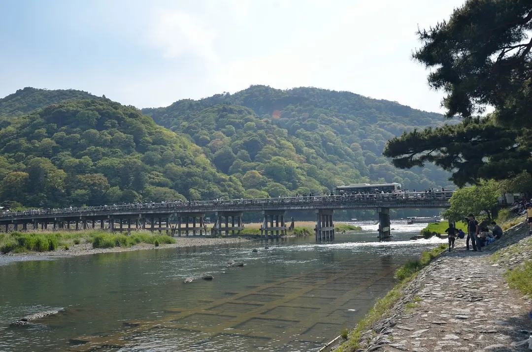 嵐山の実写写真。訪問前のイメージ確認用。
