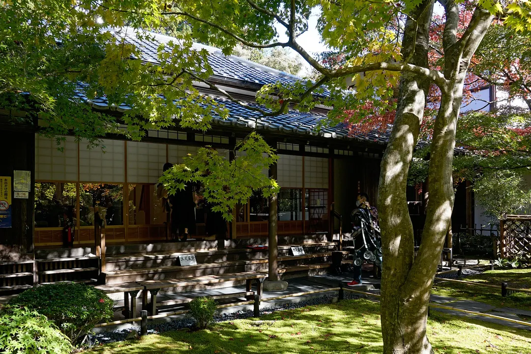 円通院の大悲亭と紅葉し始めた庭園を写した実写写真