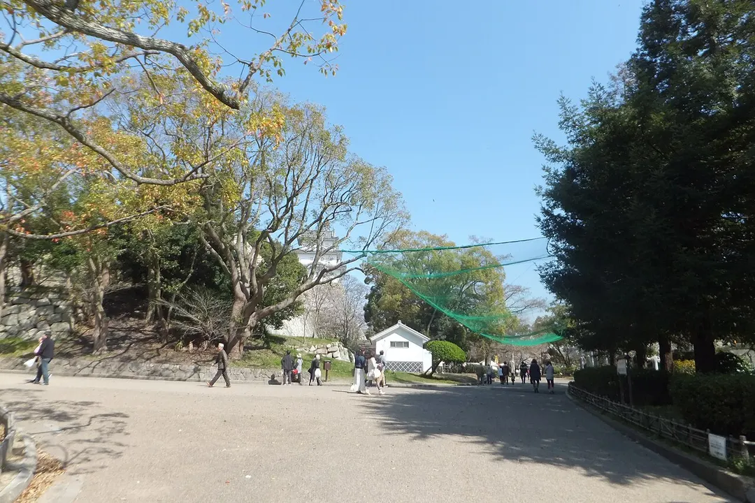 明石公園の別アングルを確認できる実写写真 1
