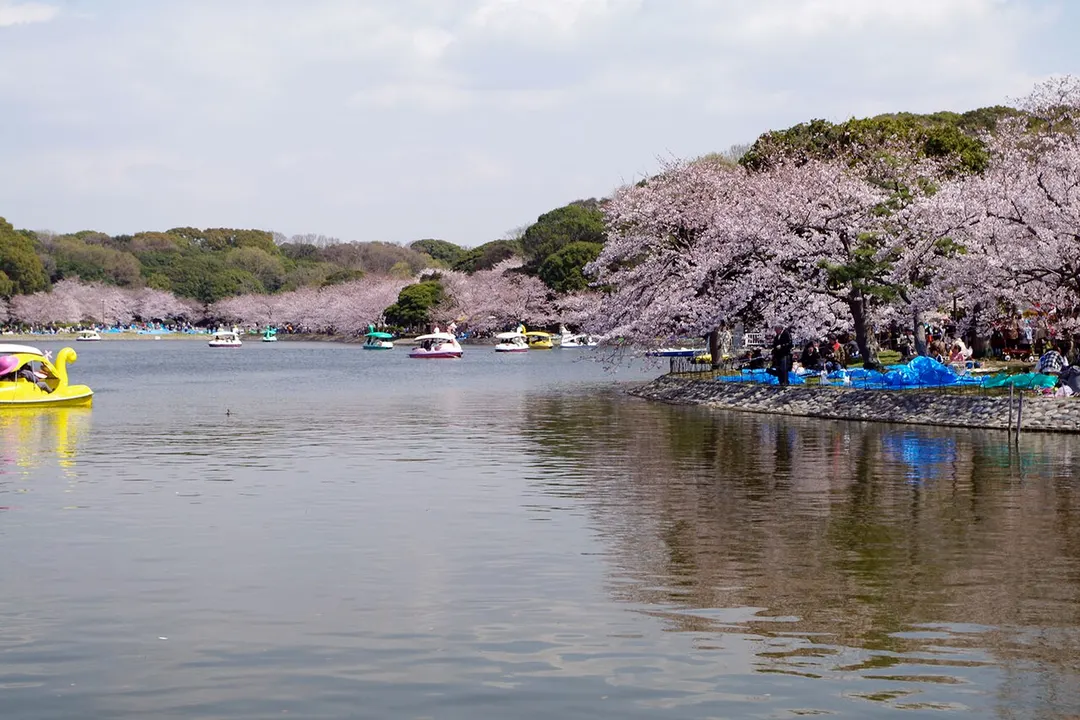 明石公園の別アングルを確認できる実写写真 2