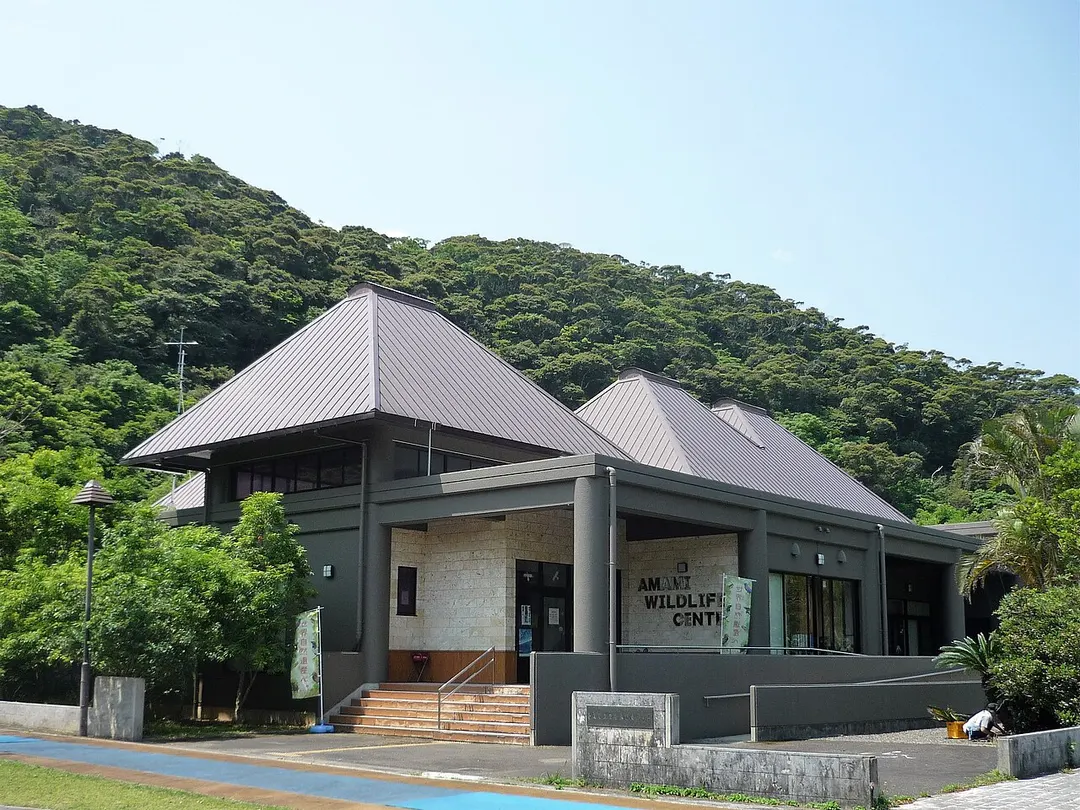 奄美野生生物保護センターの建物全景と周囲の植生を写した実写写真