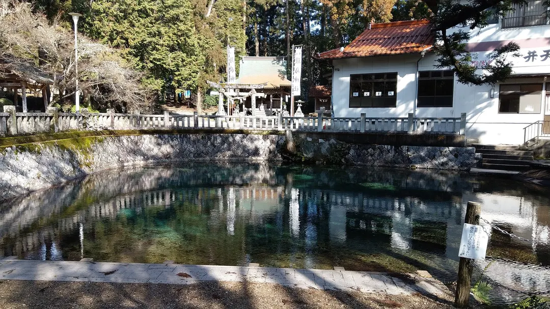 別府厳島神社の境内から別府弁天池の湧水を見渡した実写写真