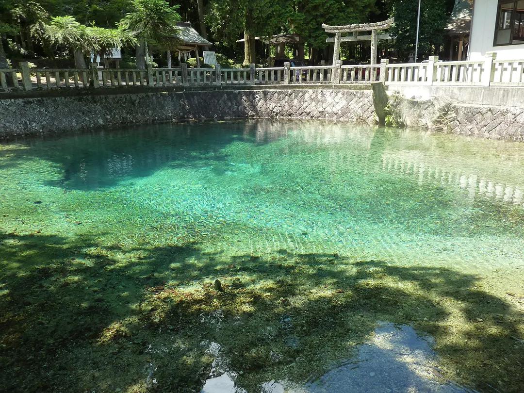 別府弁天池の青い水面と水底を近くから写した実写写真