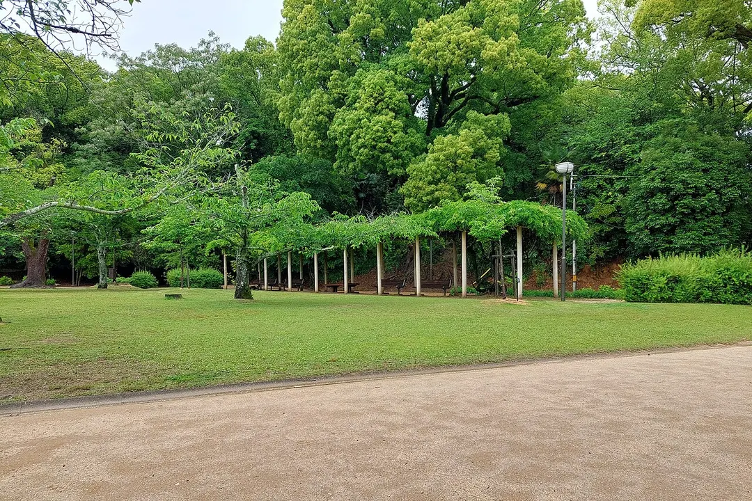 道後公園（湯築城跡）の別アングルを確認できる実写写真 1