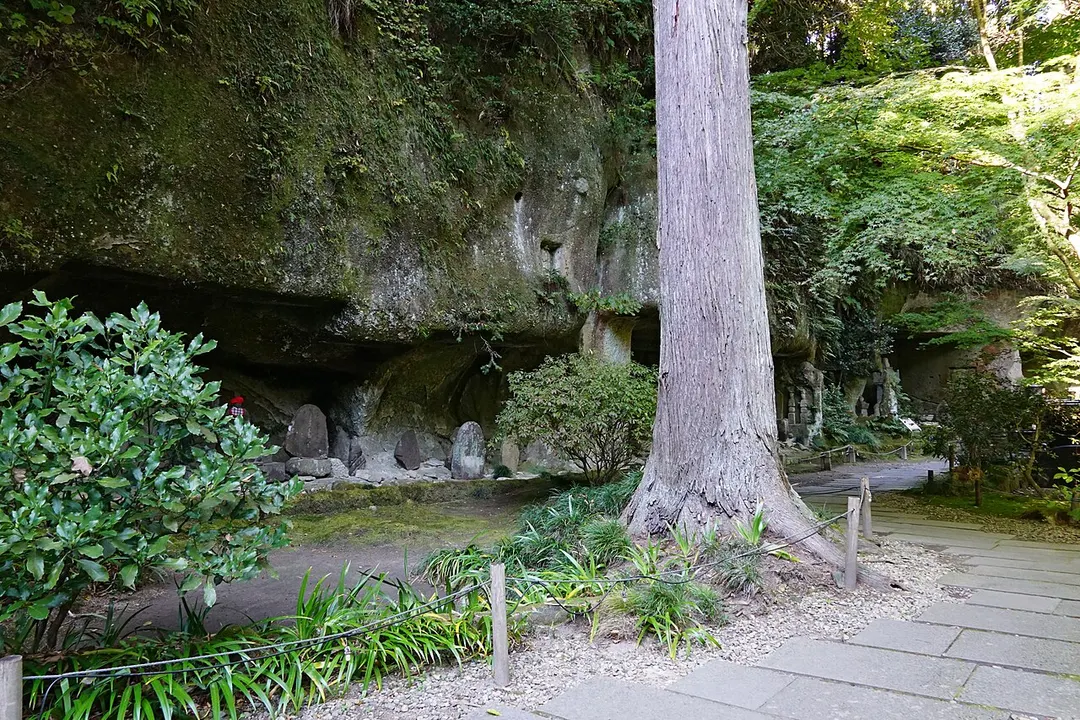 円通院の大悲亭と手入れされた庭園を写した実写写真
