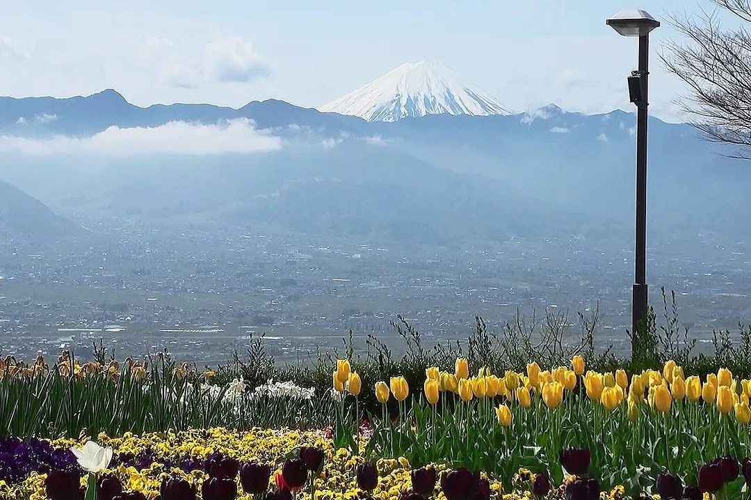 笛吹川フルーツ公園の別アングルを確認できる実写写真 1