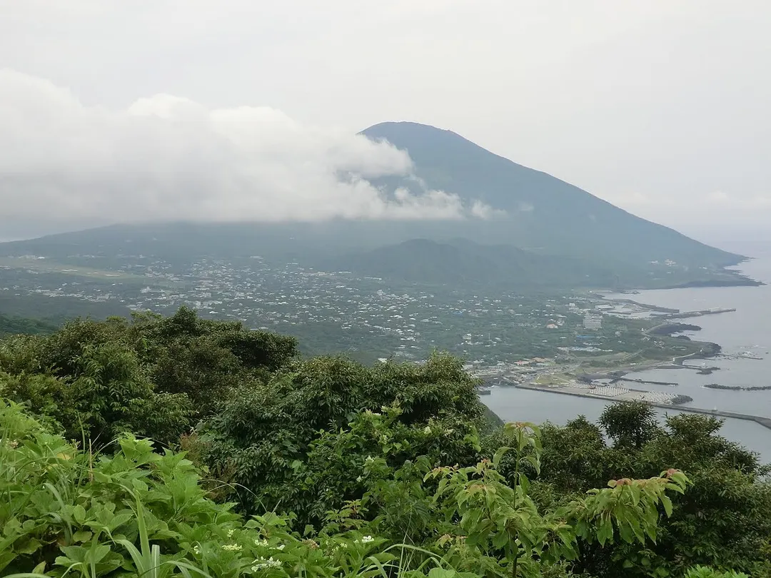 登龍峠から見下ろす三根地区と海岸線を写した実写写真