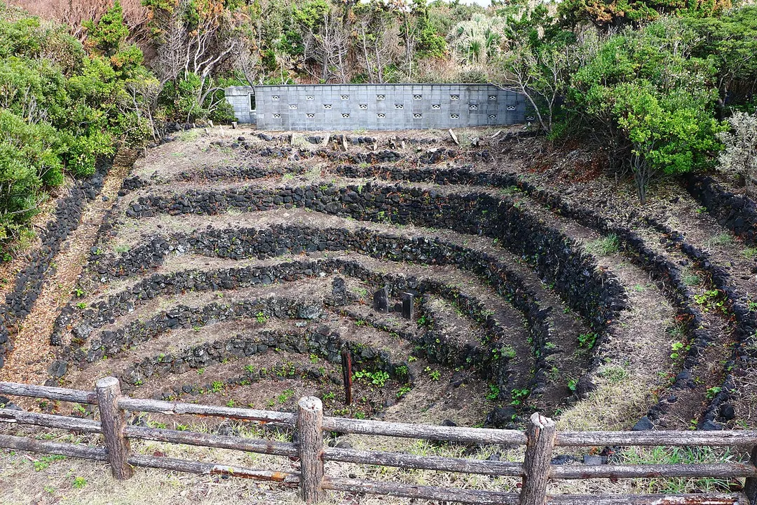 八重根のメットウ井戸のすり鉢状の地形と保護柵を写した実写写真