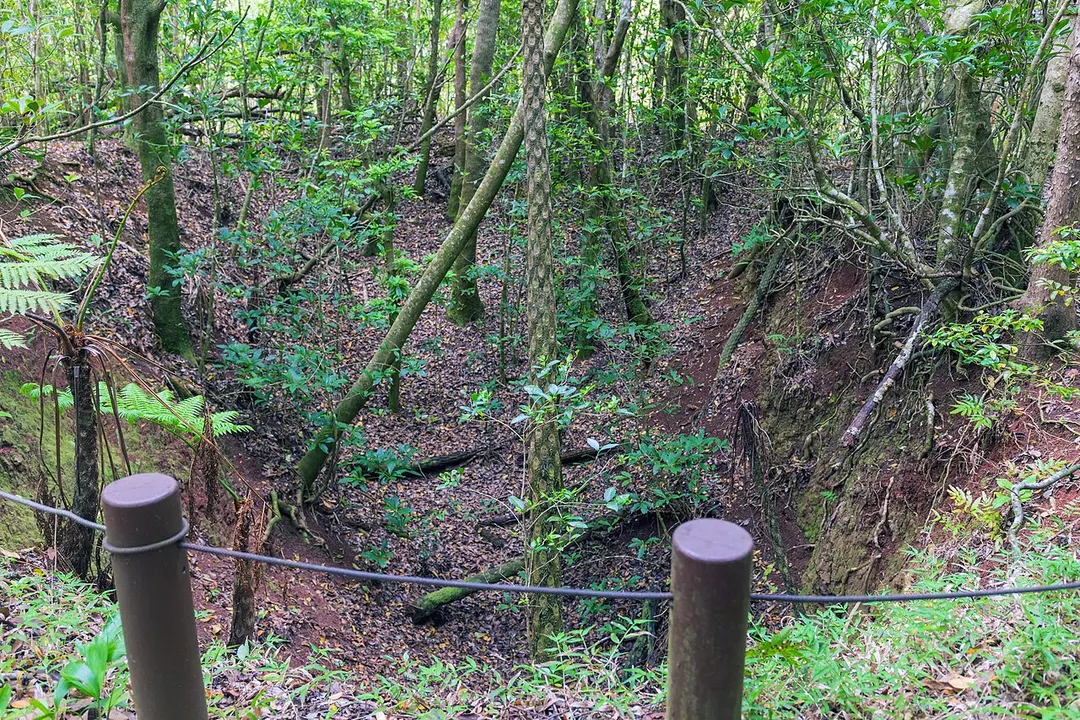 乳房山遊歩道沿いに残る戦跡と森林を写した実写写真