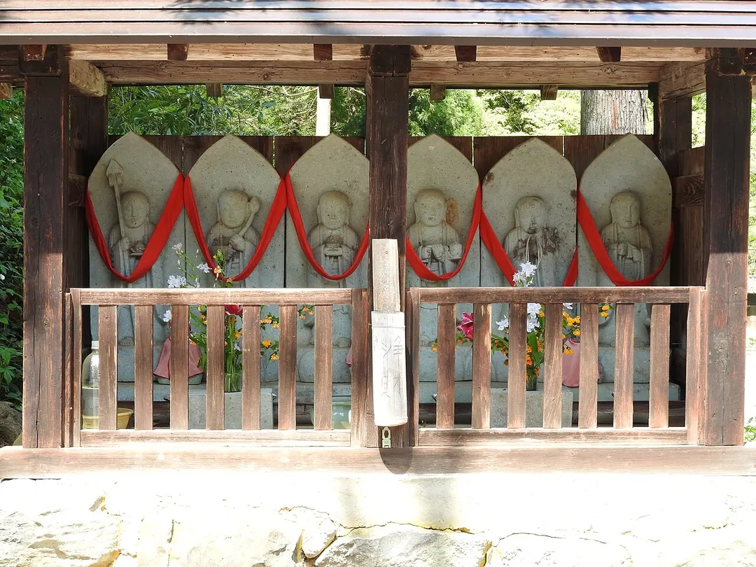 平泉寺白山神社の苔に覆われた参道と杉木立を写した実写写真