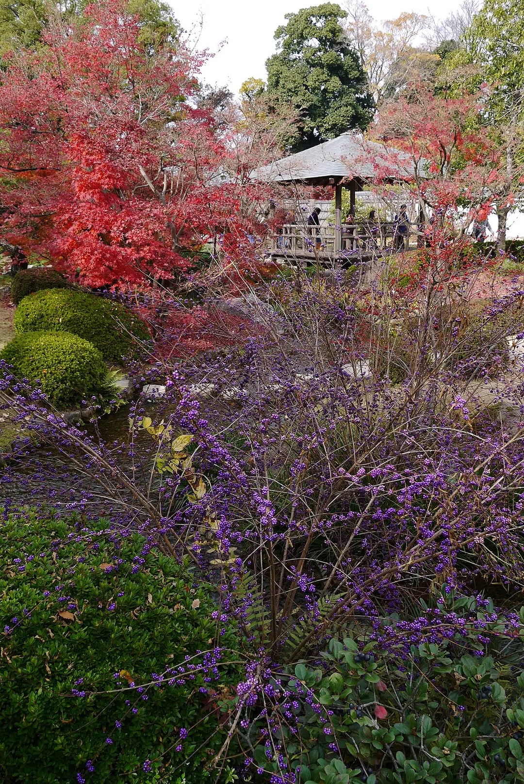 好古園の紅葉と東屋を別角度から写した実写写真