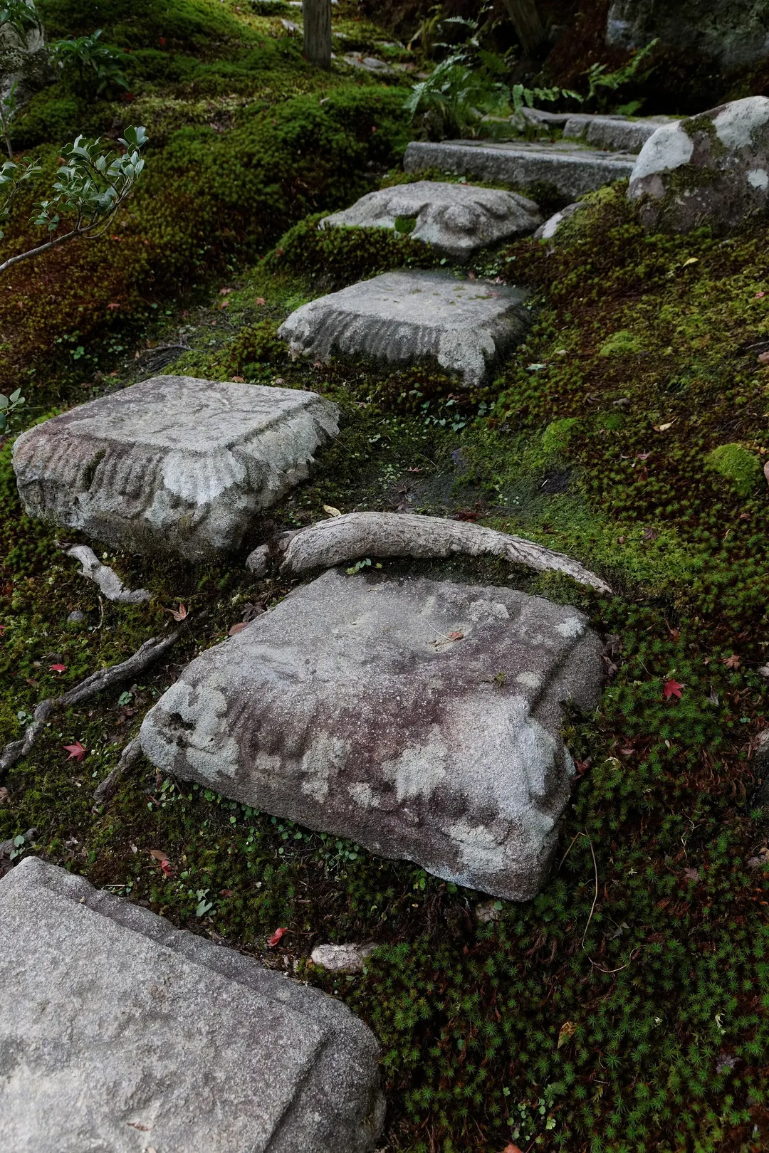 依水園の園路に並ぶ踏み石の形と間隔を確認できる実写写真