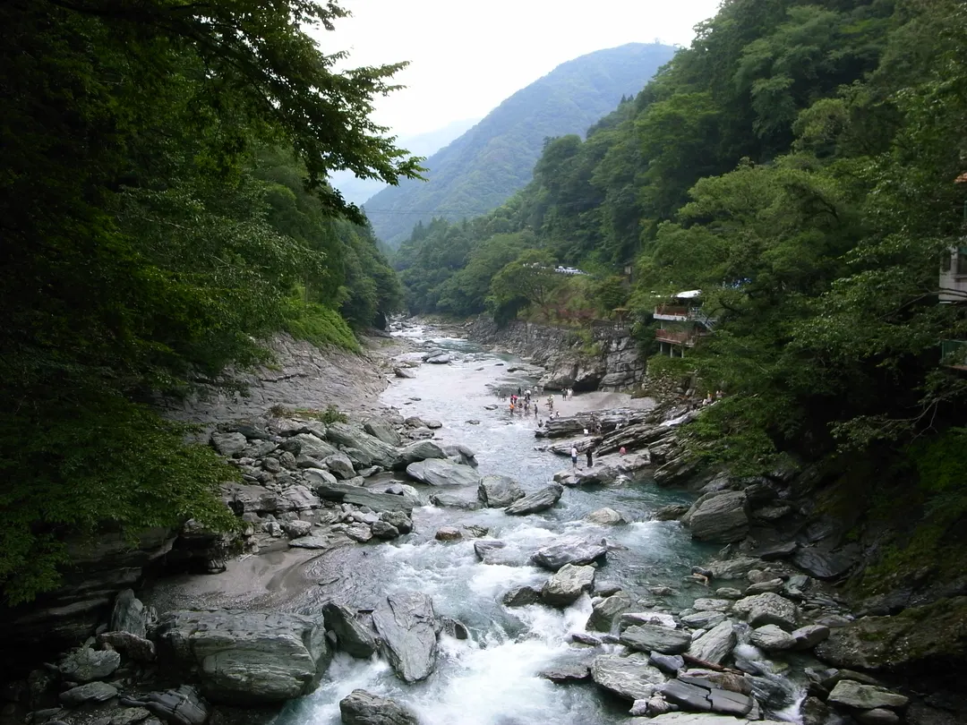 祖谷川の急流と両岸の岩場、深い緑の谷を写した実写写真