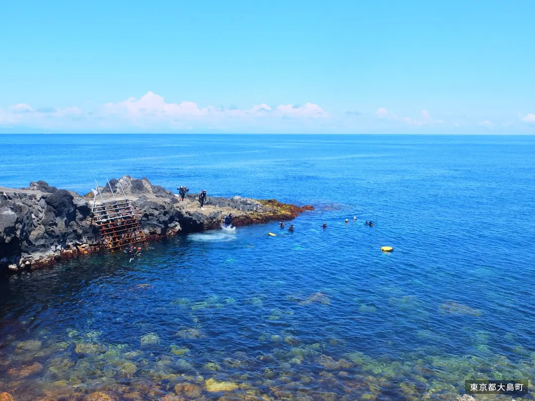 秋の浜の岩礁沿いに広がる水面を岸から眺めた風景