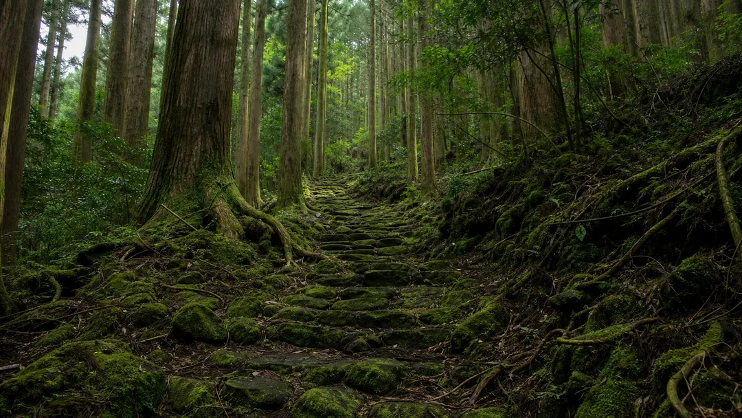 伊豆大島 波治加麻神社の杉と苔に囲まれた参道を表現した生成AIイメージ画像