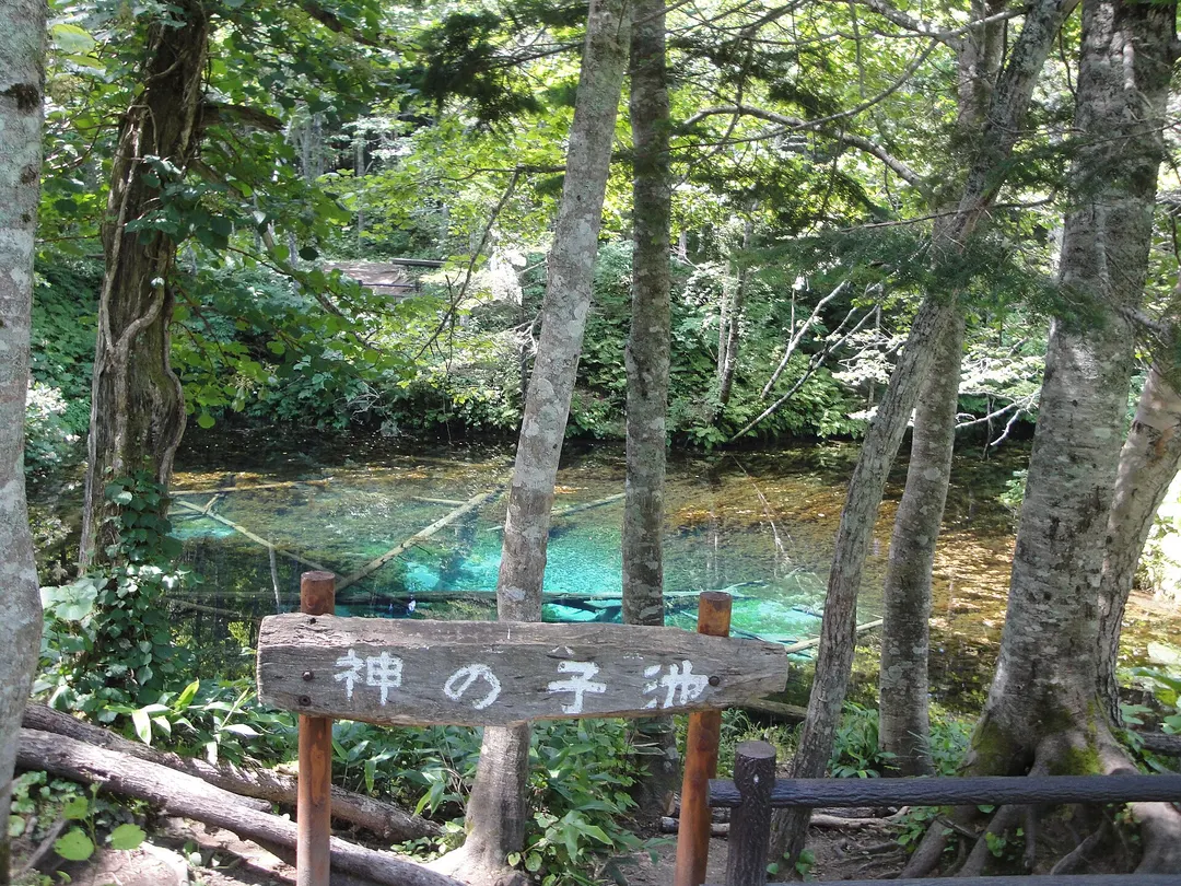 神の子池の案内板越しに透明な池と森を写した実写写真
