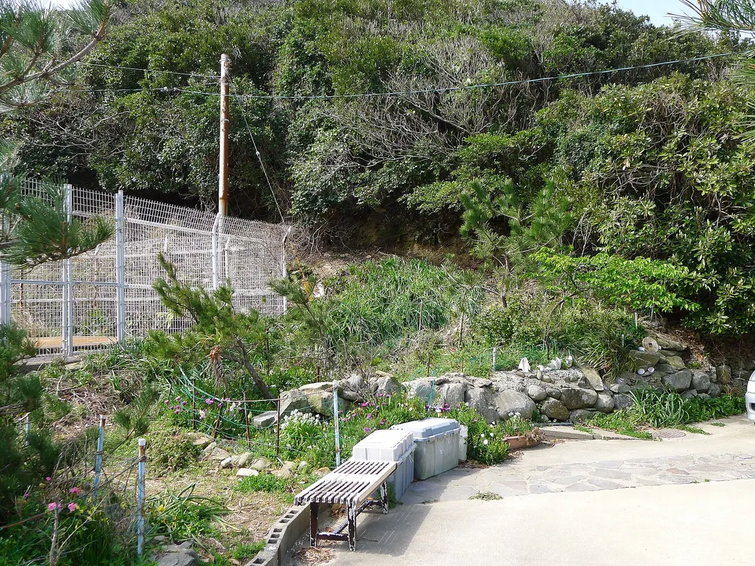 頭ヶ島・白浜地区で宅地と畑地の境界に積まれた五島石の石垣を写した実写写真
