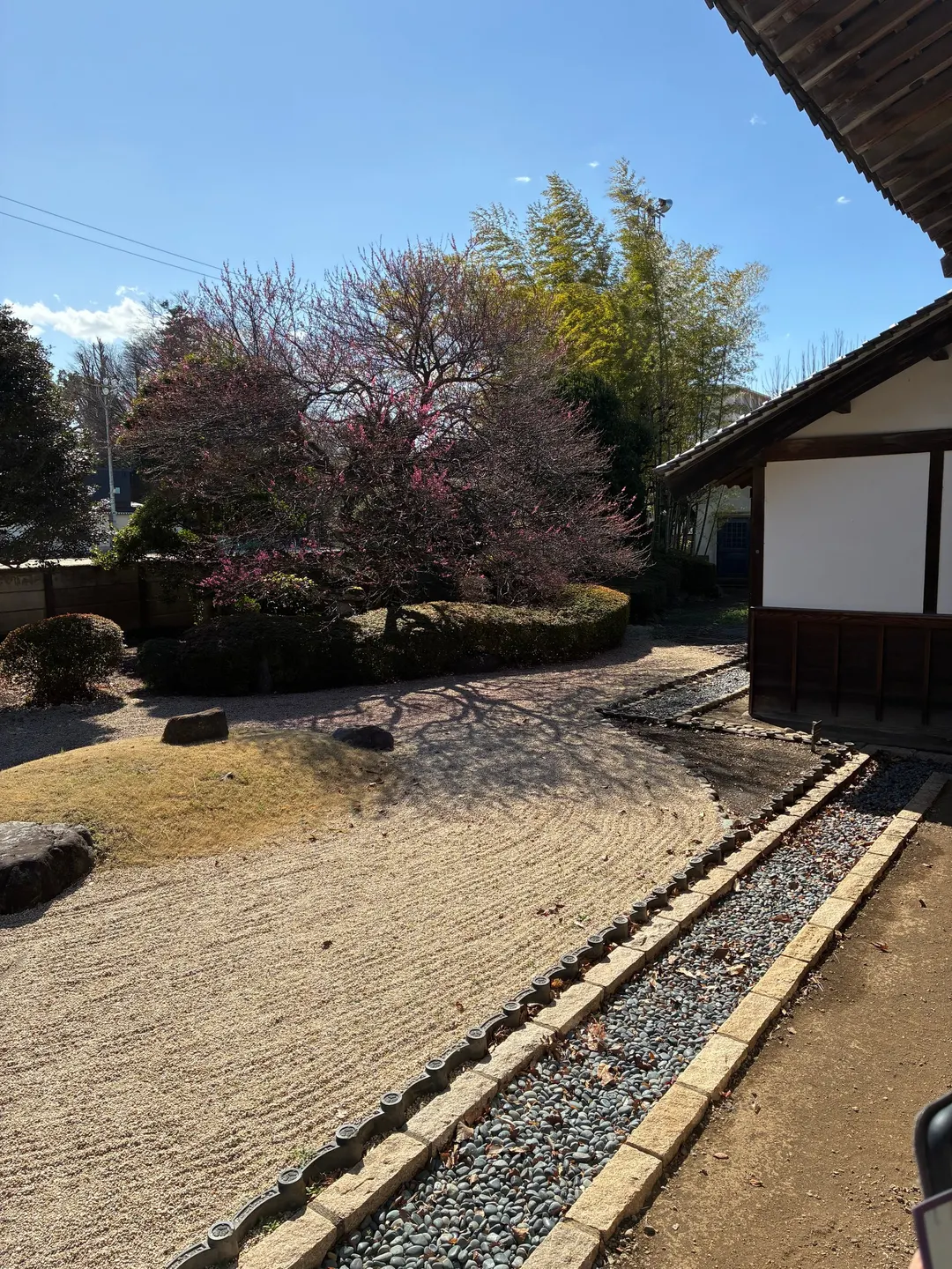 川越城本丸御殿の庭園の実写写真