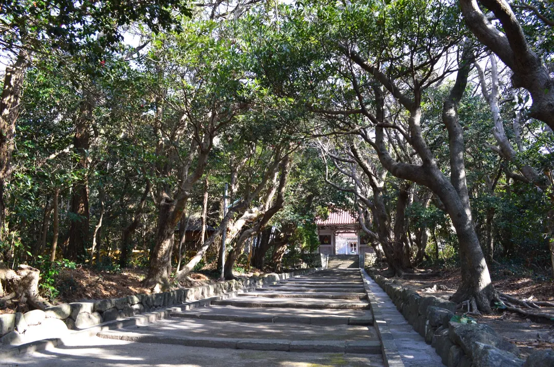 物忌奈命神社の石段と参道を鳥居側から写した実写写真