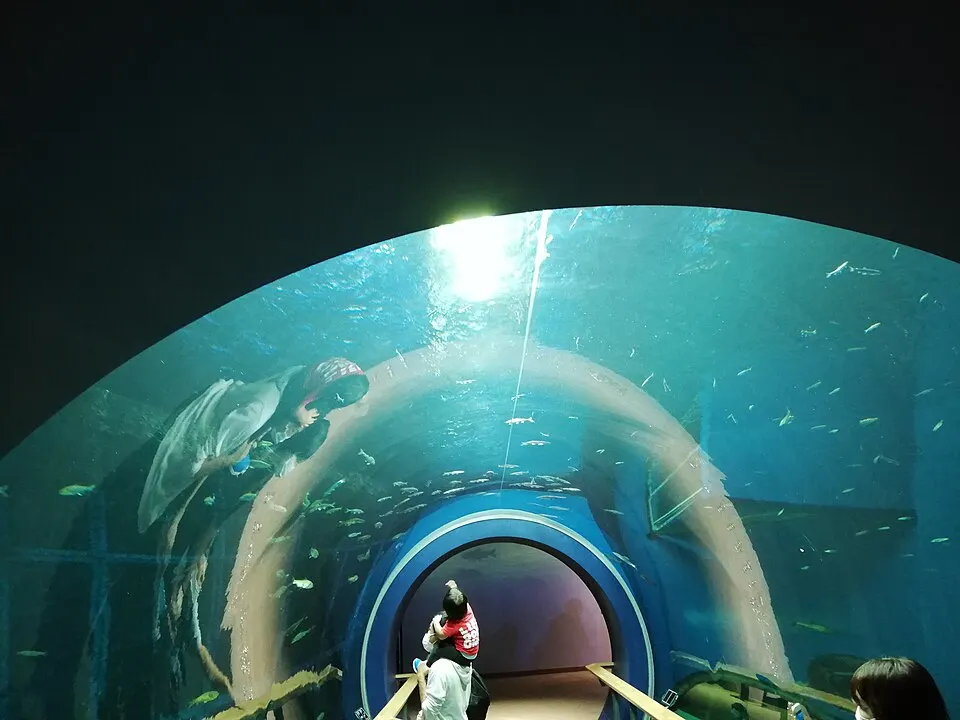 滋賀県立琵琶湖博物館の別アングルを確認できる実写写真 2