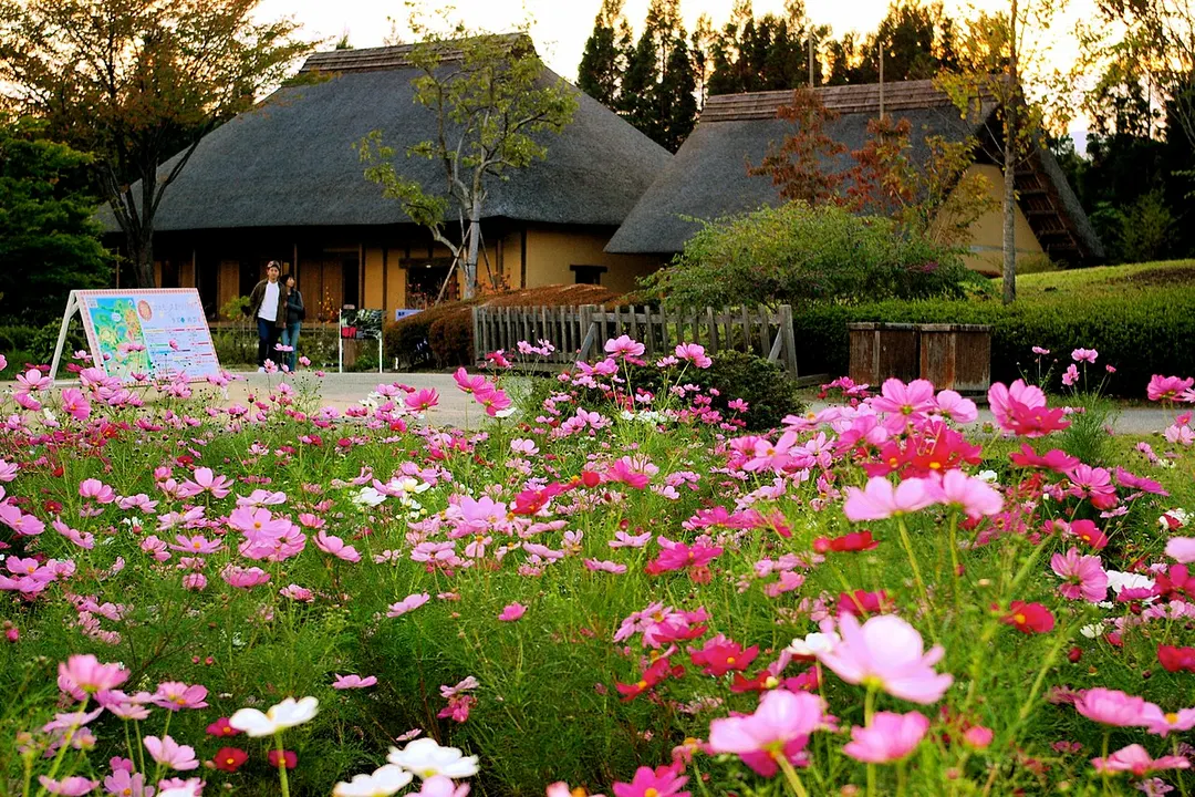 国営みちのく杜の湖畔公園の別アングルを確認できる実写写真 1