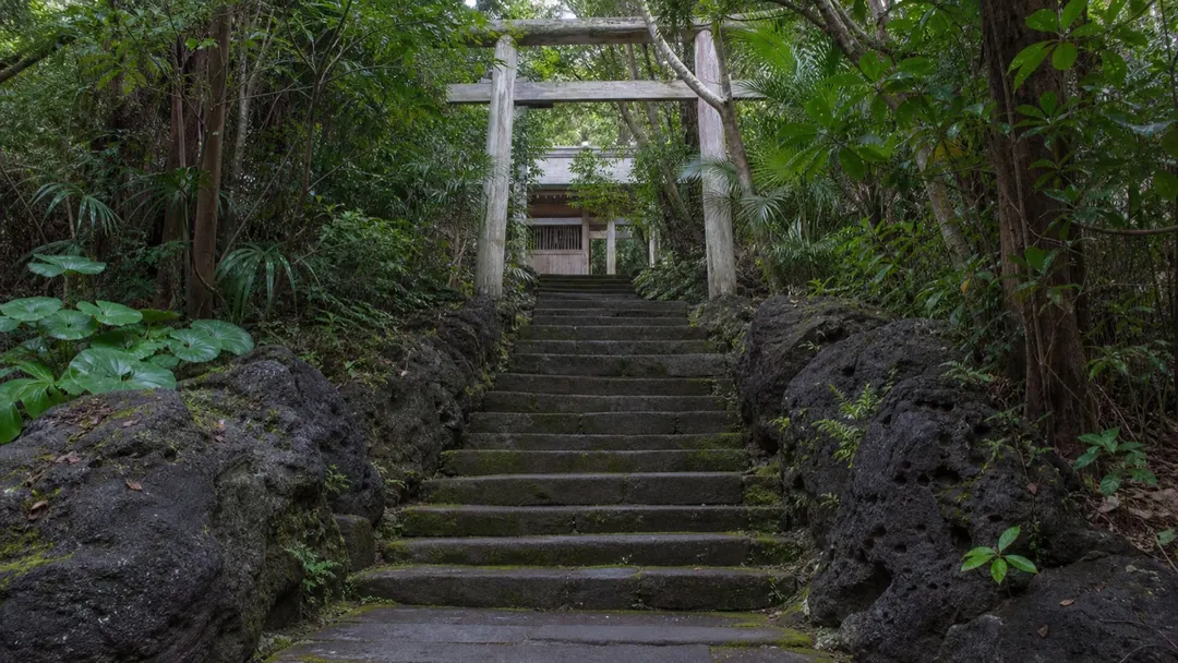 三宅島の森に延びる富賀神社の参道を表現した生成AIイメージ画像