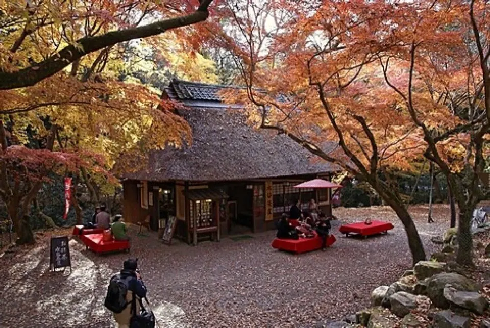 奈良公園の別アングルを確認できる実写写真 2