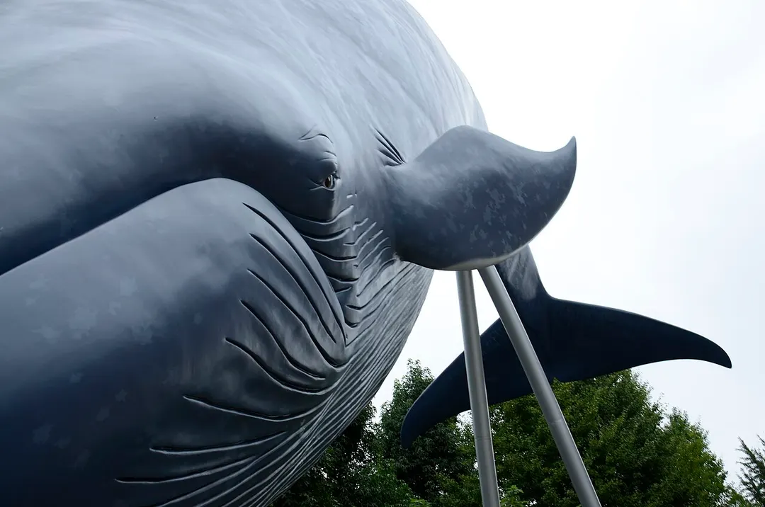 国立科学博物館の屋外にあるシロナガスクジラ実物大模型を写した実写写真