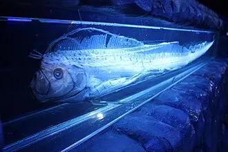 アクアワールド茨城県大洗水族館の別アングルを確認できる実写写真 2