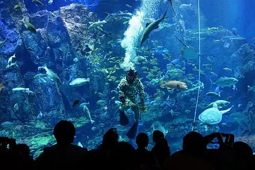 男鹿水族館GAOの別アングルを確認できる実写写真 1