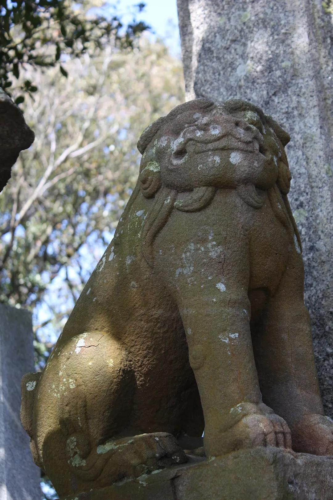 豊玉姫神社の狛犬と境内を確認できる実写写真