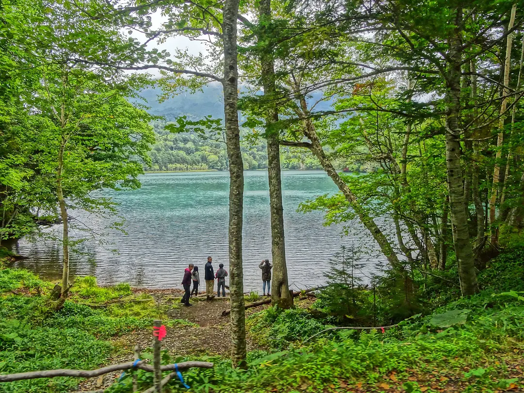オンネトー東岸の森と湖畔の散策路、湖面を写した実写写真
