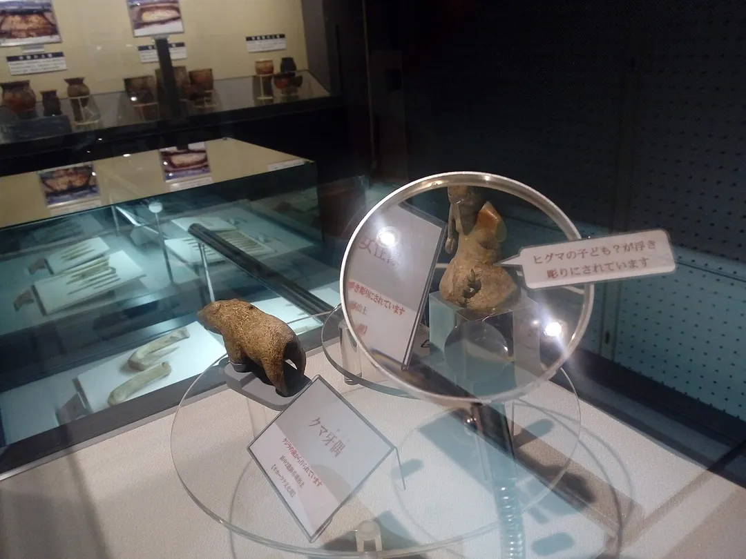 礼文町郷土資料館の船泊遺跡出土品と動物形の資料を写した実写写真