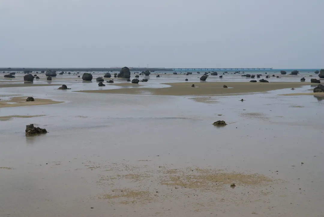 干潮時の佐和田の浜に広がる砂地と巨岩、沖の桟橋を写した実写写真