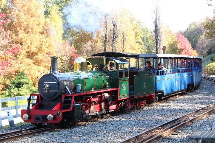 修善寺虹の郷の紅葉の中を走る園内鉄道、2012年11月撮影