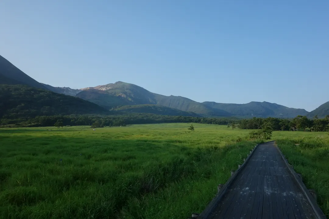 長者原の草原とタデ原湿原の木道、その奥の山並みを写した実写写真
