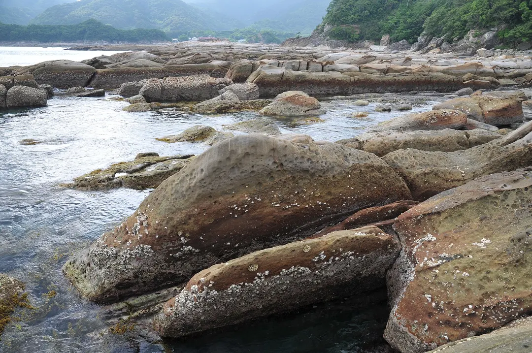 竜串海岸で波に削られた丸い砂岩と潮だまりを写した実写写真