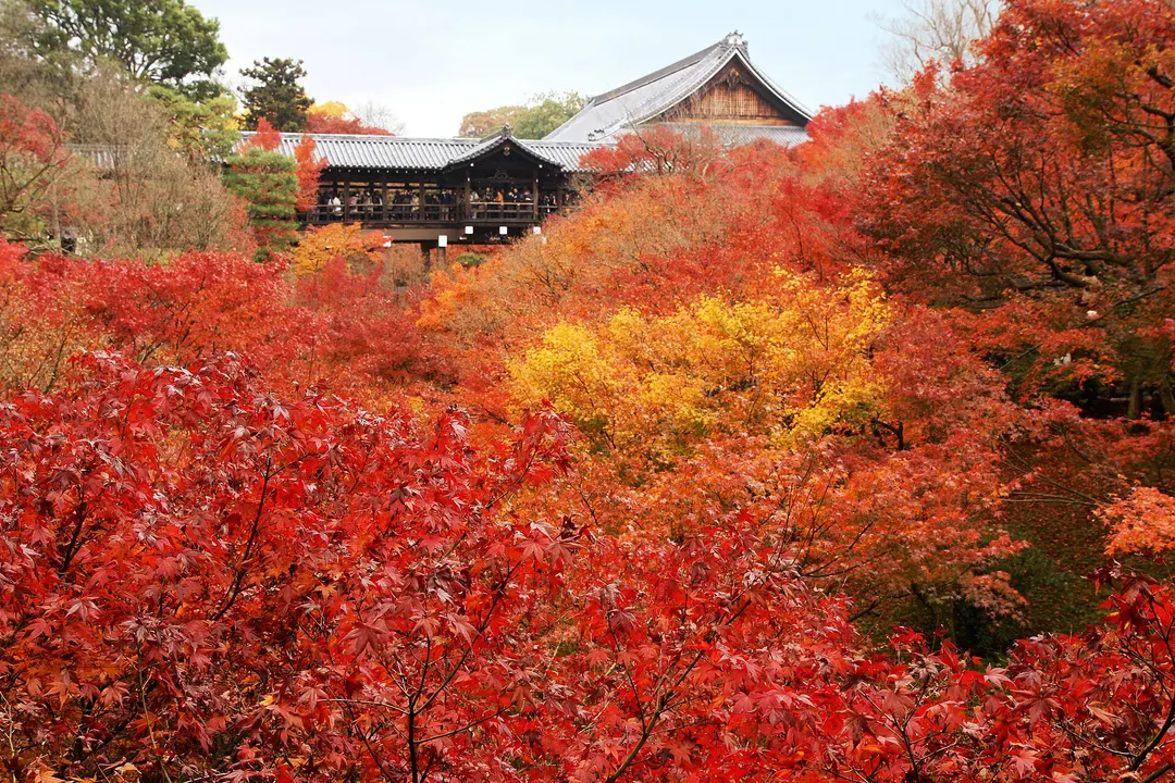 東福寺の三門と石畳の参道を正面から写した実写写真