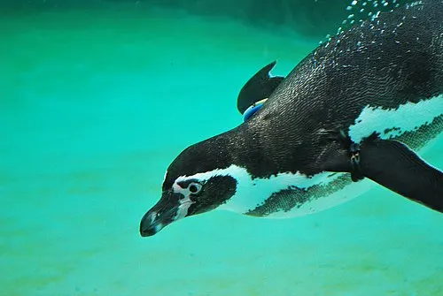葛西臨海水族園の別アングルを確認できる実写写真 1