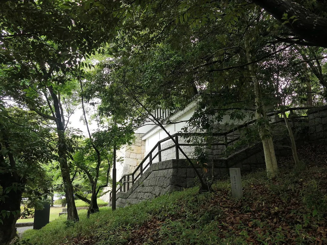豊田市美術館の庭園と敷地内の建築を写した実写写真