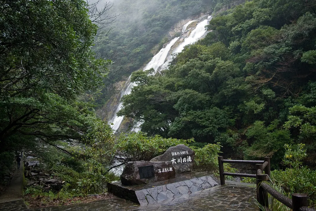 大川の滝が切り立った岩壁から滝壺へ落ちる全景を写した実写写真
