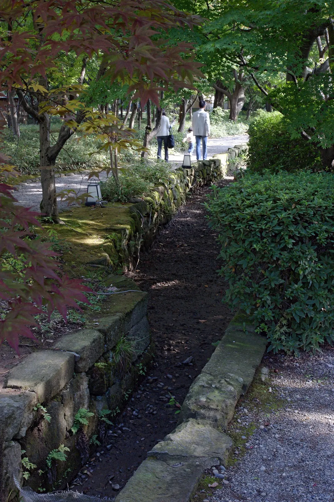 養浩館庭園の遣水と石組みの実写写真
