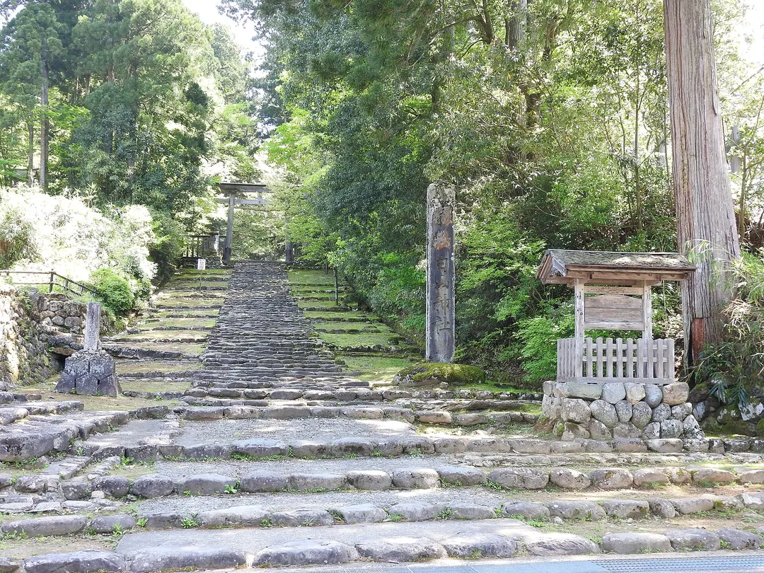 平泉寺白山神社の杉木立と苔に覆われた境内を写した実写写真