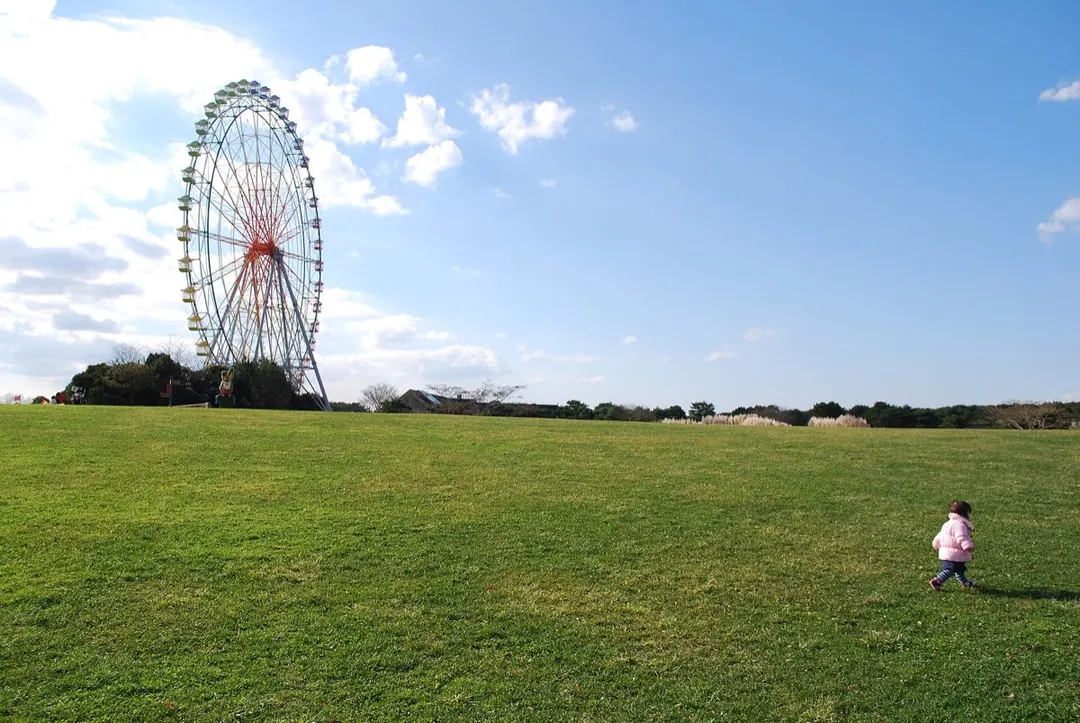 国営ひたち海浜公園の実写写真。訪問前のイメージ確認用。