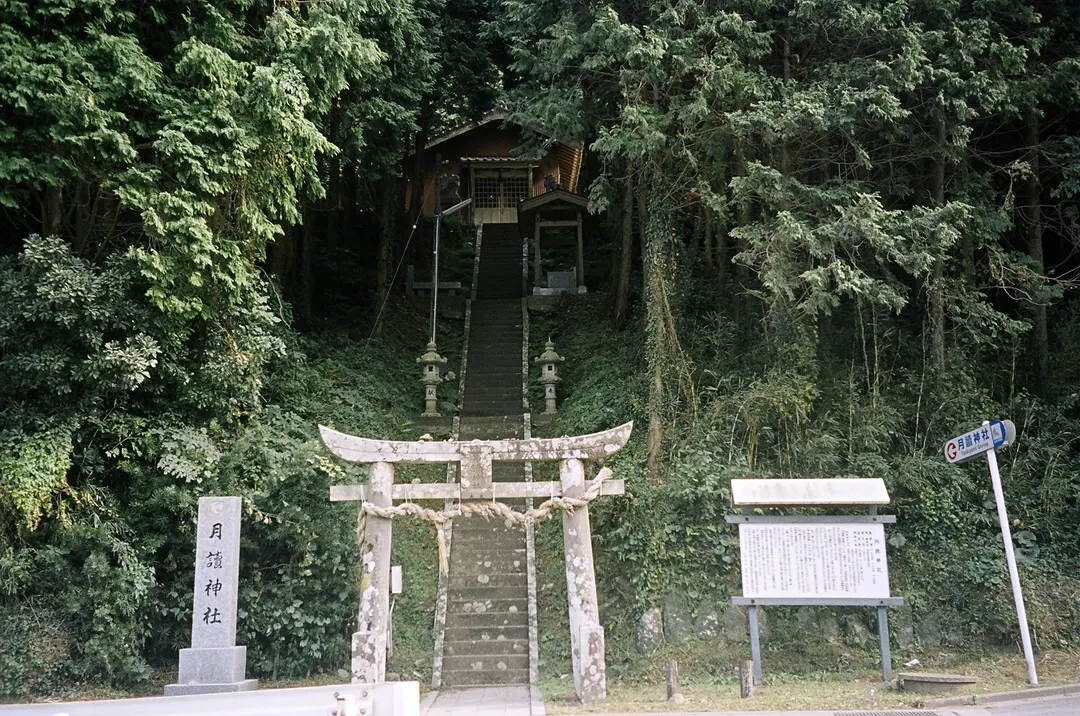 壱岐・月讀神社の鳥居と森の斜面を上る急な石段を正面から写した実写写真