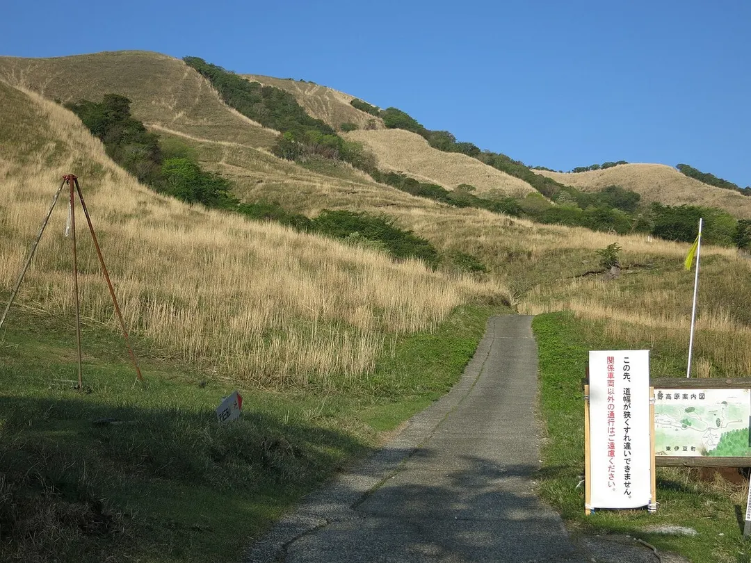 稲取細野高原の草原を通る道と斜面(2014年5月撮影)