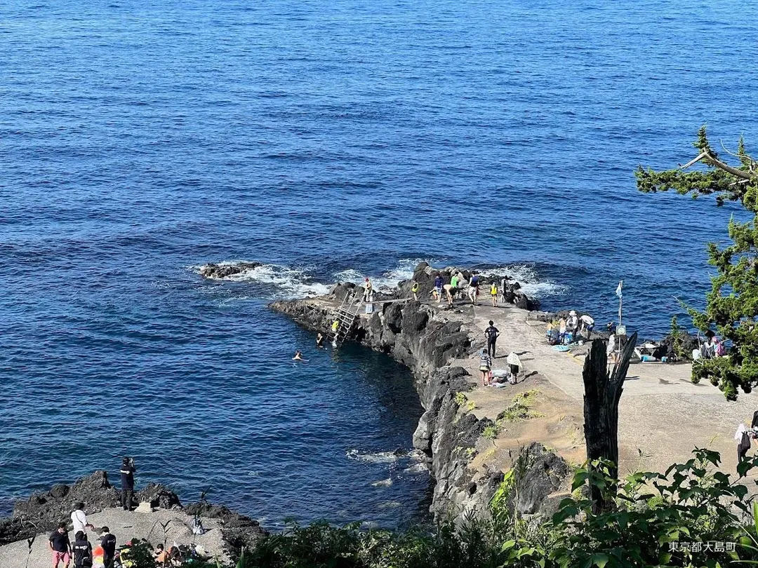 秋の浜を陸側から見下ろした岩礁と海の全景